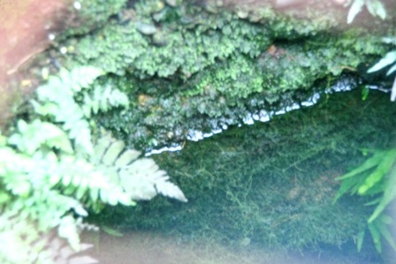 Giếng Hàm Long với truyền thuyết chế ngự rồng dữ - 13