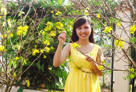 Ngắm mai vàng miền Nam nở rộ trước hiên nhà - 5