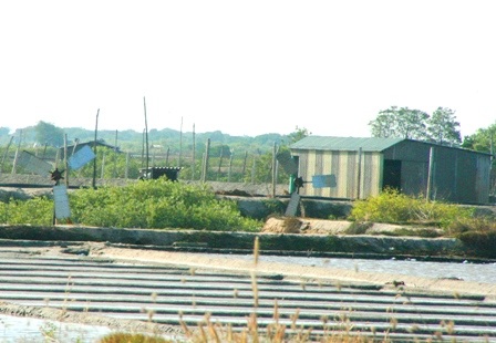 Ngắm những “dũng sĩ” cối xay gió trên những cánh đồng muối - 6