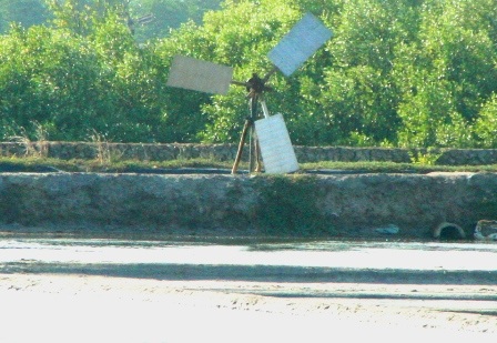 Ngắm những “dũng sĩ” cối xay gió trên những cánh đồng muối - 7