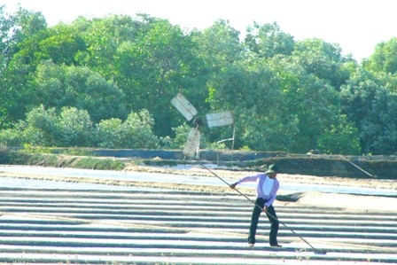 Ngắm những “dũng sĩ” cối xay gió trên những cánh đồng muối - 8