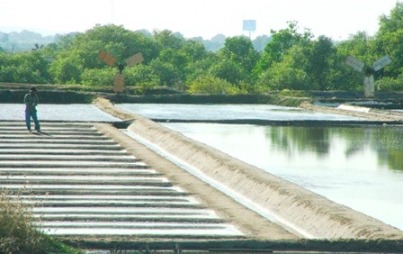 Ngắm những “dũng sĩ” cối xay gió trên những cánh đồng muối - 5