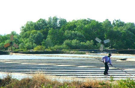 Ngắm những “dũng sĩ” cối xay gió trên những cánh đồng muối - 1