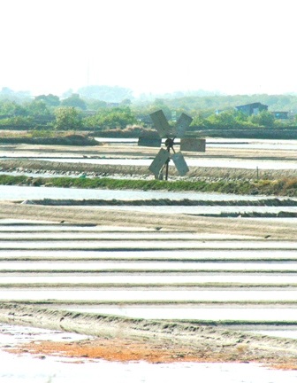 Ngắm những “dũng sĩ” cối xay gió trên những cánh đồng muối - 3