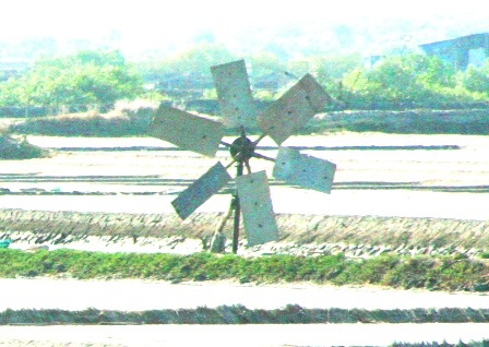 Ngắm những “dũng sĩ” cối xay gió trên những cánh đồng muối - 4