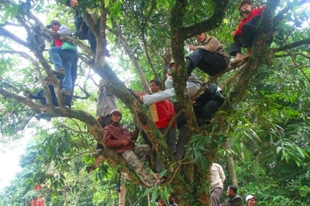 Hơn 10.000 người về dự hội đua trải truyền thống Hương Thủy - 13