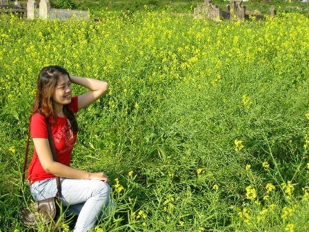 Giới trẻ Cố đô “làm duyên” cùng mùa hoa cải vàng - 4