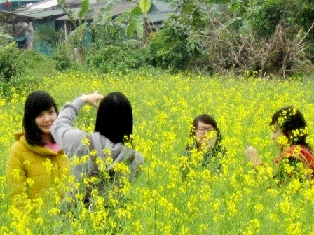 Giới trẻ Cố đô “làm duyên” cùng mùa hoa cải vàng - 5