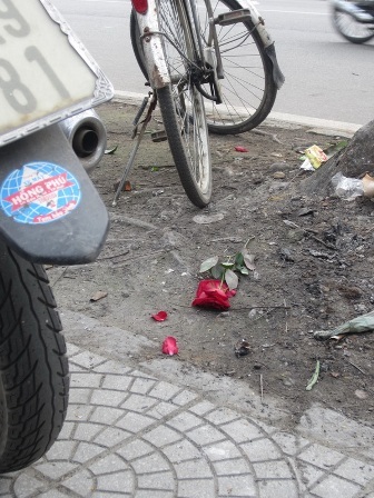 Hoa vứt đầy đường sau… Lễ Tình nhân - 8