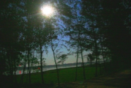 Ngắm trăng đêm Nguyên Tiêu sáng vằng vặc bên đầm phá - 9