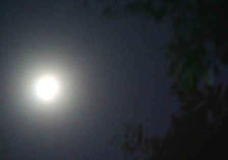 Ngắm trăng đêm Nguyên Tiêu sáng vằng vặc bên đầm phá - 4