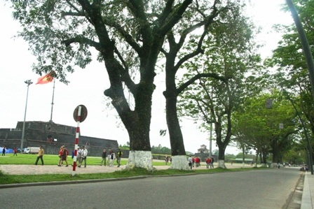 Đường đi bộ đầu tiên cho du khách trước Đại Nội Huế