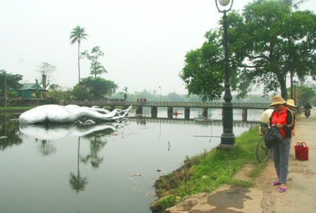 Tò mò đi xem “thủy quái” bỗng xuất hiện giữa hồ