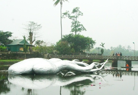 Tò mò đi xem “thủy quái” bỗng xuất hiện giữa hồ