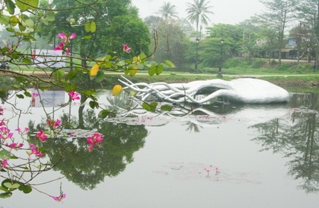 Tò mò đi xem “thủy quái” bỗng xuất hiện giữa hồ