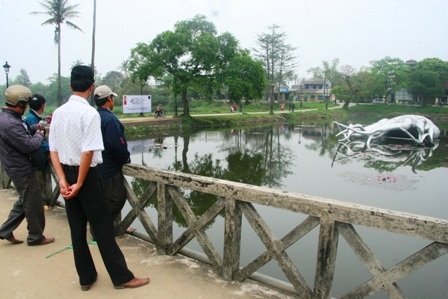 Tò mò đi xem “thủy quái” bỗng xuất hiện giữa hồ