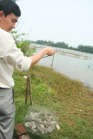 Những con trai bạc triệu điêu đứng vì nguồn nước ô nhiễm