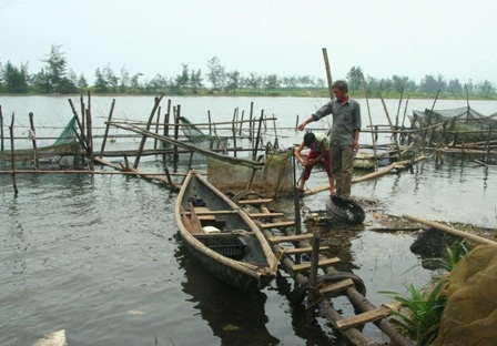 Những con trai bạc triệu điêu đứng vì nguồn nước ô nhiễm