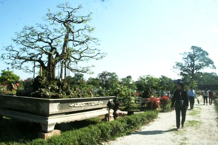 Khôi phục vườn Ngự uyển xưa tuyệt đẹp trong cung vua Nguyễn