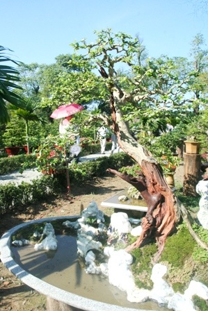 Khôi phục vườn Ngự uyển xưa tuyệt đẹp trong cung vua Nguyễn