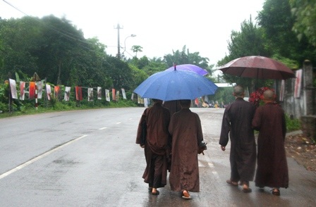 Ngắm đường tranh dài nhất Huế đẹp mộng ảo trong ...mưa