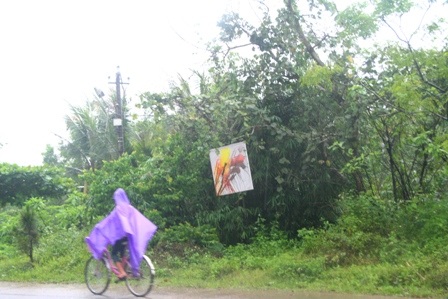 Ngắm đường tranh dài nhất Huế đẹp mộng ảo trong ...mưa