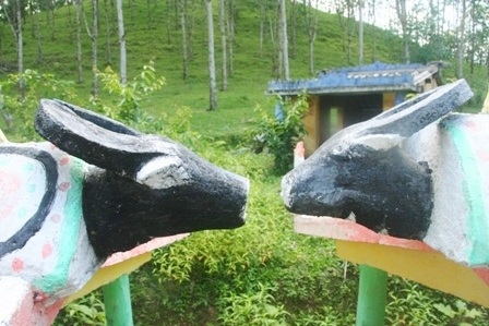 Ngắm tượng gỗ nhà mồ độc đáo người Cơ Tu