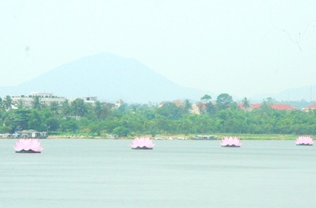 7 đóa sen hồng khổng lồ trên sông Hương