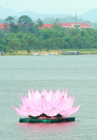 7 đóa sen hồng khổng lồ trên sông Hương