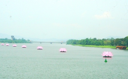 7 đóa sen hồng khổng lồ trên sông Hương