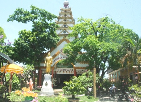 Ngắm 2 cây sala cổ nhất Huế nở hoa đỏ rực trong lễ Phật đản