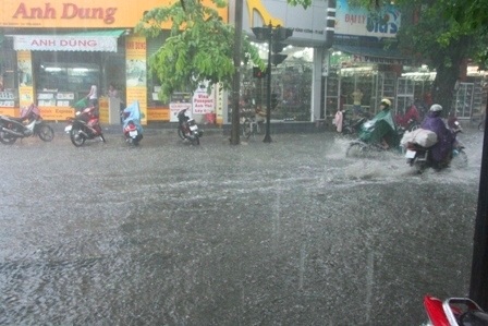 Đường phố khốn khổ vì “mưa vàng”