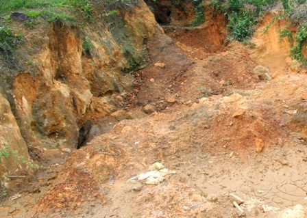 Vụ thuê đất giá cao để tìm vàng: Lấp các hầm vàng chui