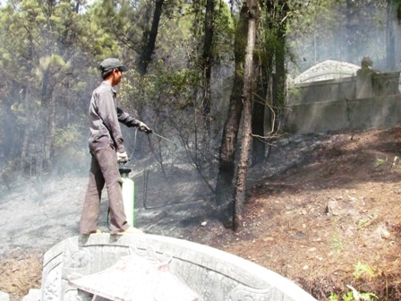 Khu vực cháy xuất phát từ nhiều lăng mộ ở chân núi Động Đá do một em nhỏ đốt vàng mã