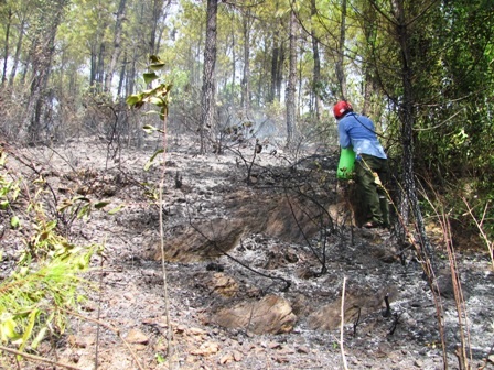Đám cháy đã được dập tắt vào khoảng 3h chiều 12/8
