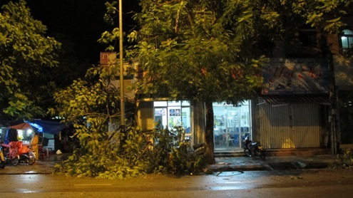 Một cành cây to đổ trước số nhà 140 đường Nguyễn Huệ.