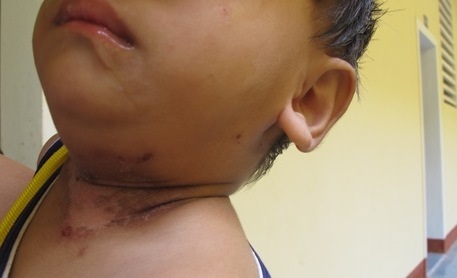 Đại Dương - Ngọc Thụ