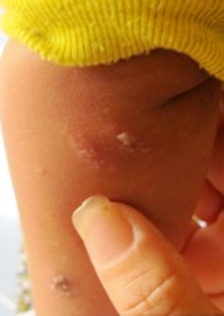 Đại Dương - Ngọc Thụ