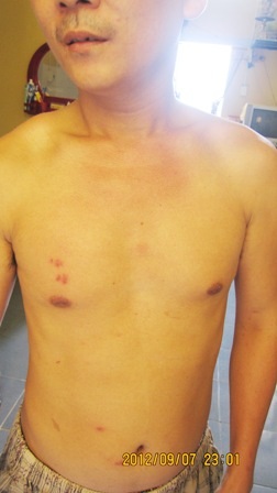 Đại Dương - Ngọc Thụ