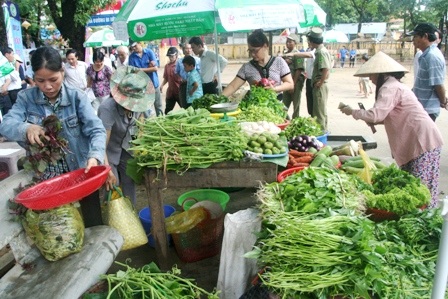 Rau tươi, sạch trồng bằng thủ công không có hóa chất
