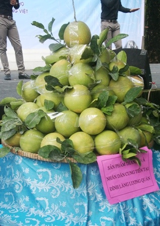 Mâm thanh trà ngon nhất dân làng cung tiến tại đình làng Lương Quán