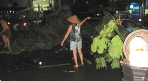 Người dân gần trường ĐH Khoa học Huế huy động ra đường dọn cây đổ