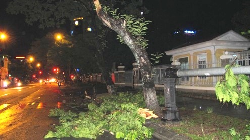 Người dân gần trường ĐH Khoa học Huế huy động ra đường dọn cây đổ