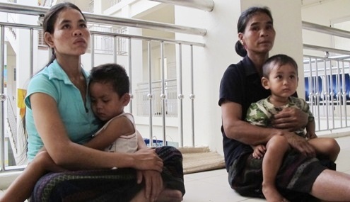 2 cháu bé tử vong do bị ong đốt hàng trăm mũi