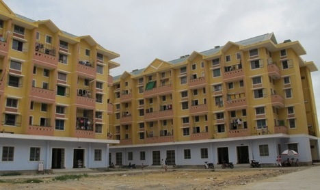 Khu dân cư lo sợ vì nghi “côn trùng lạ” tấn công