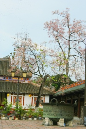 Tỏa bóng cùng đền đài