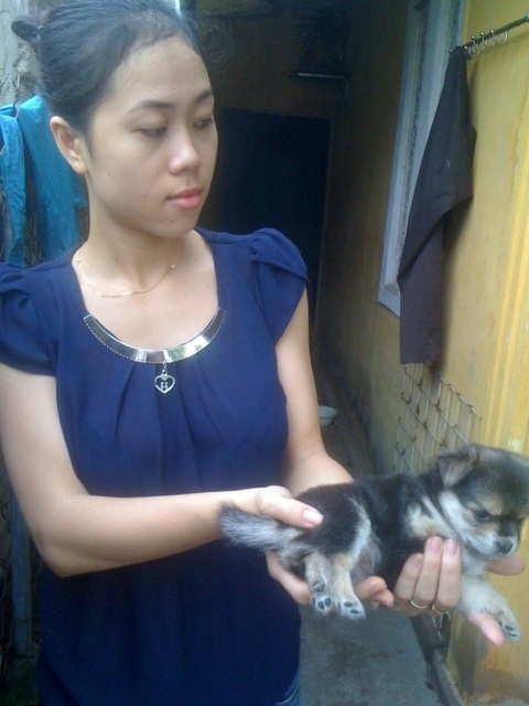 Chị Thu bên chú chó cưng với 3 chân, 2 bộ phận sinh dục