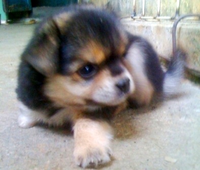 và nằm thật dễ thương