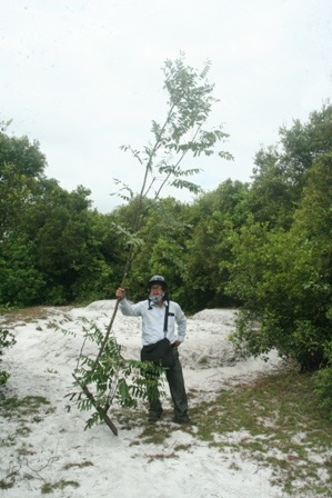 Những gì còn sót lại sau khi đoàn làm việc đuổi bắt nhóm trộm mật nhân