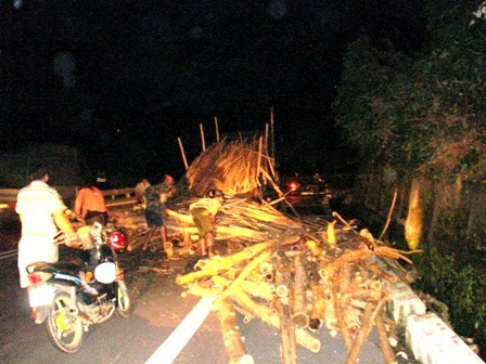 Gỗ tràm đổ ra đường đèo.